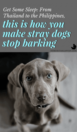 how to make dogs stop barking 